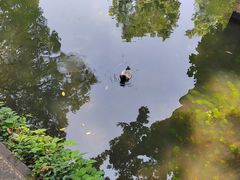 -拙政园
