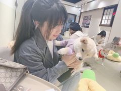 -逗柴咖啡屋·狗咖猫咖宠物桌游