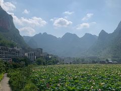 -长寿村