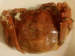 大闸蟹-点都德(大茶楼店)