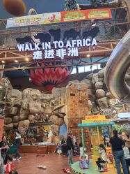 -卡通尼·Safari非洲探索乐园·生日会(金桥国际商业广场店)