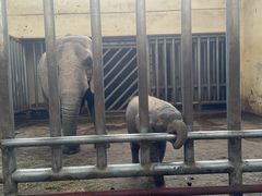 -石家庄市动物园