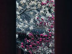 -颐和园