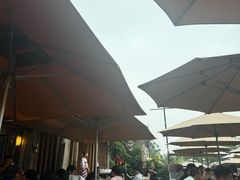 -都江堰石锅鱼