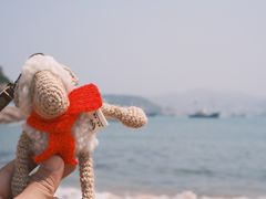-大王村沙滩