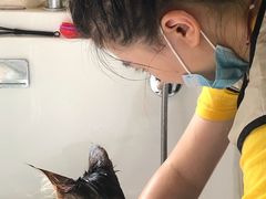 -十年猫舍·猫咪专门店(普陀店)
