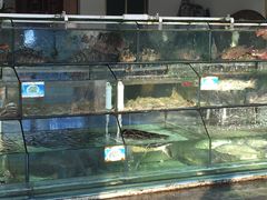 -老船长海鲜大排档(银滩店)