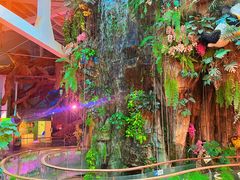 -正佳雨林生态植物园