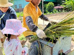 -新地休闲农场