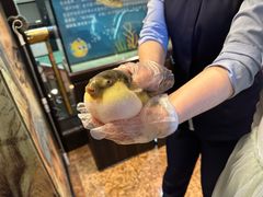 -肆月河豚·淮扬菜·湘菜(华天店)