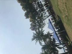 -红树湾(地铁站)