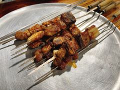 -胡犇嗲单车烧烤(坡子街店)