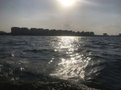 -五缘湾游艇帆船俱乐部