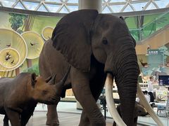 -陕西自然博物馆