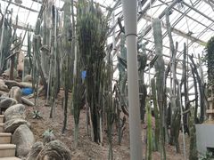 -南山植物园