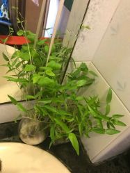 -本真坊美容美体沙龙