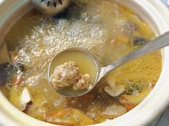 -蘑统田下·野生菌火锅