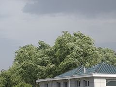 -石家庄市植物园