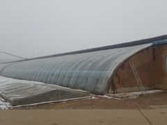 -甜心庄园·甜心草莓采摘园(西青中北店)