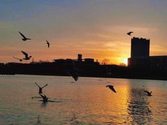 -完美生活炭火烤肉(二马路店)