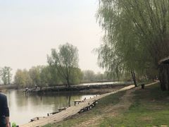 -白渔泡湿地公园