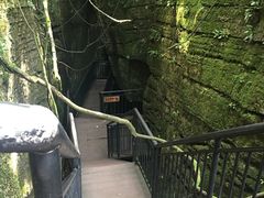 -梦幻奥陶纪景区