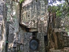 -铁山坪森林公园