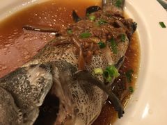 -沈阳丽都酒店
