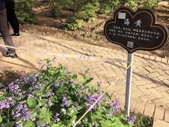 -洛阳市隋唐城遗址植物园