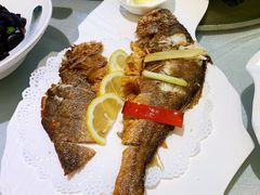 -骏莱海鲜鱼港(五角场店)