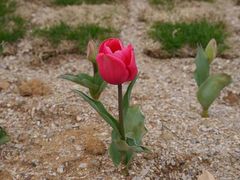 android_upload_pic-漩门湾国家湿地公园