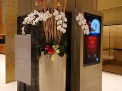 -上海明天广场JW万豪酒店