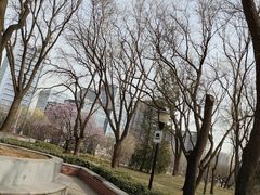 -玲珑塔公园