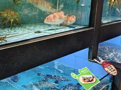 -徐记海鲜(开福寺|伍家岭店)