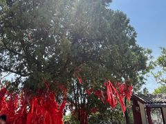 -青州市云门山风景区