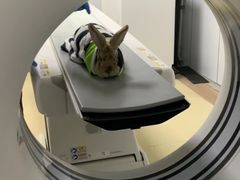 -爱侣宠医·鹦鹉专科·小型哺乳类·异宠专科(灵石路店)