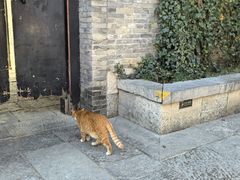 -回龙窝历史文化街区