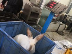 -温江公平红烧兔(总店)