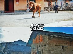 -黑河国家森林公园