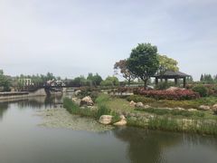 -上海鲜花港