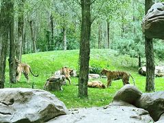 -北京野生动物园