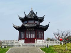-上海海湾国家森林公园