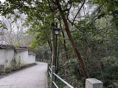 -灵隐飞来峰景区