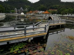 -红山村