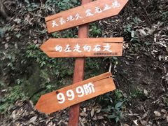 -龙湾潭国家森林公园