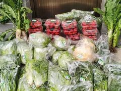 -庞各庄翠芳园西瓜蔬菜基地采摘园