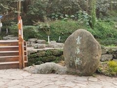 -重庆彩云湖湿地公园