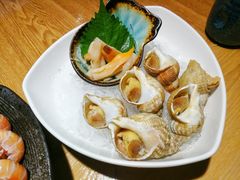 俄罗斯海螺-松岛日本料理(汾江路店)