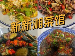 -新新湘菜馆(新中街二条店)
