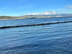 -才村湿地公园